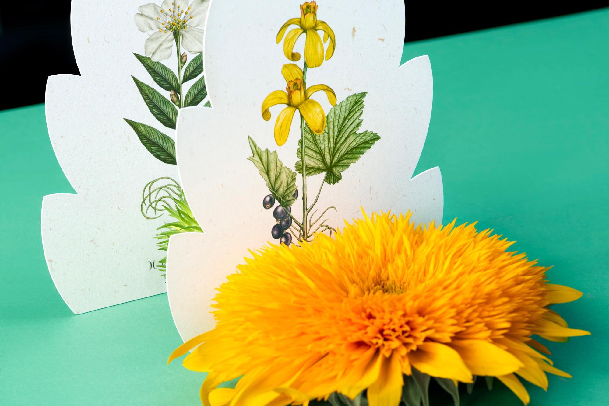 idm_lacourjardin_menu_by_violaineetjeremy_photo_annetjo_copyright_violaineetjeremy_courtesy_lacourjardin_plazaathenee_idm_11.jpg
