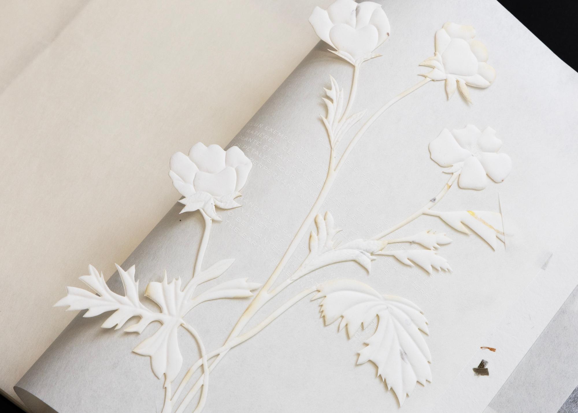 idm_leave_no_trace_invitation_luxe_pack_2019_by_mt_photo_margaux_piette_copyright_idm_02.jpg