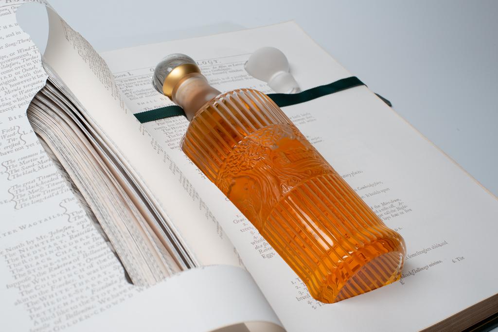 idm_themacallan_totm_book_by_potlatch_photo_et_copyright_themacallan_courtesy_potlatch_idm_19.jpg