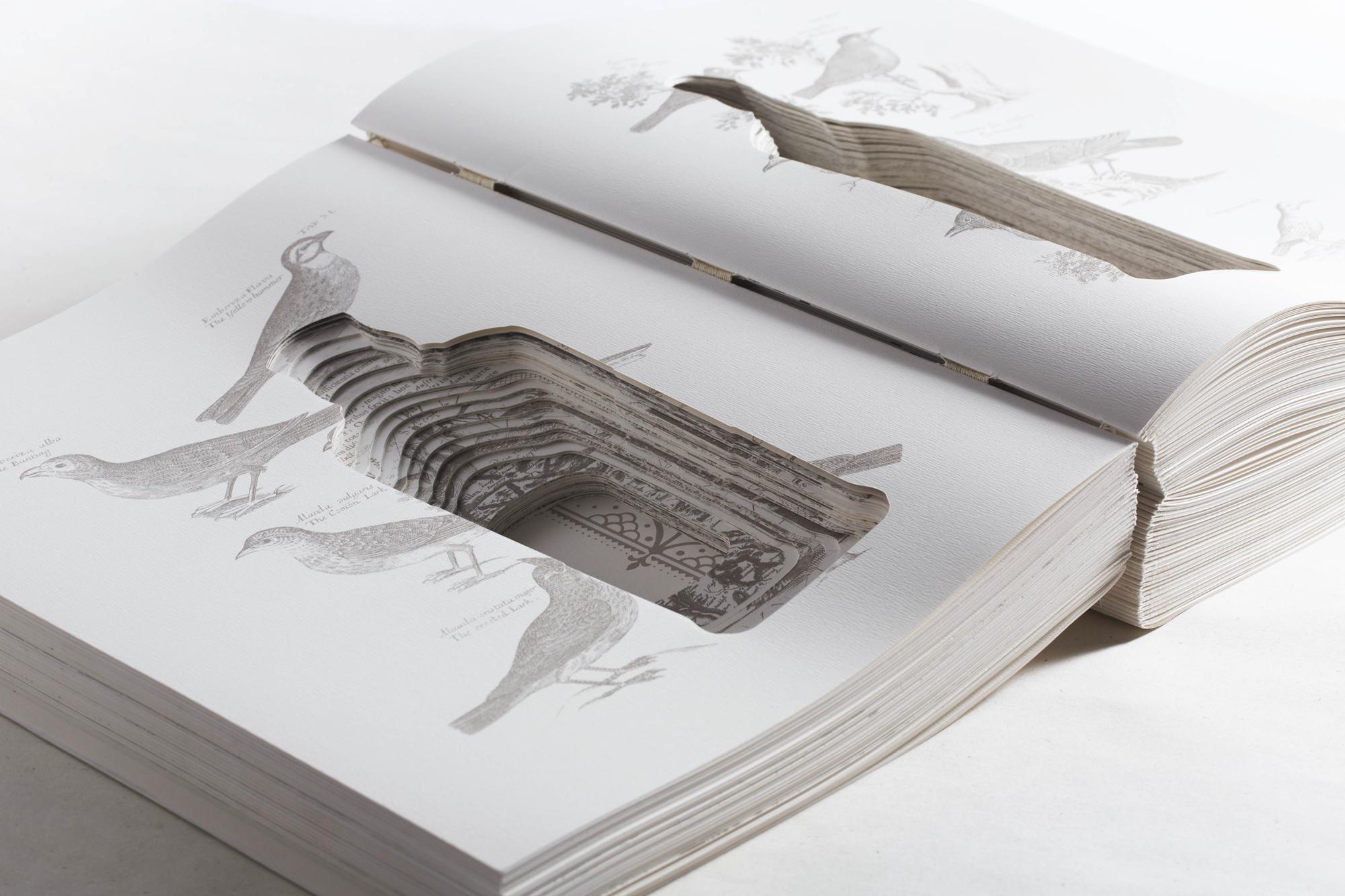 idm_themacallan_totm_book_by_potlatch_photo_margaux_piette_copyright_idm_courtesy_themacallan_idm_05.jpg